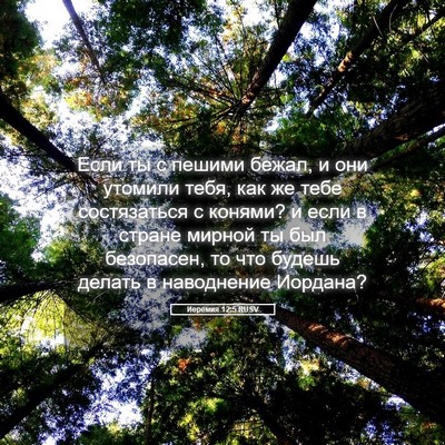 Picture 05 - Иеремия 12:5 RUSV - Если ты с пешими бежал, и - Bible Verse Picture