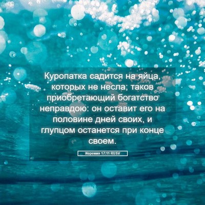 Picture 05 - Иеремия 17:11 RUSV - Куропатка садится на яйца, - Bible Verse Picture