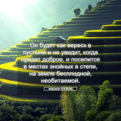 Picture 05 - Иеремия 17:6 RUSV - Он будет как вереск в - Bible Verse Picture