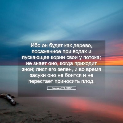 Picture 05 - Иеремия 17:8 RUSV - Ибо он будет как дерево, - Bible Verse Picture