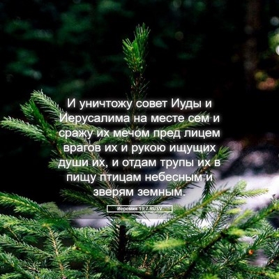 Picture 05 - Иеремия 19:7 RUSV - И уничтожу совет Иуды и - Bible Verse Picture