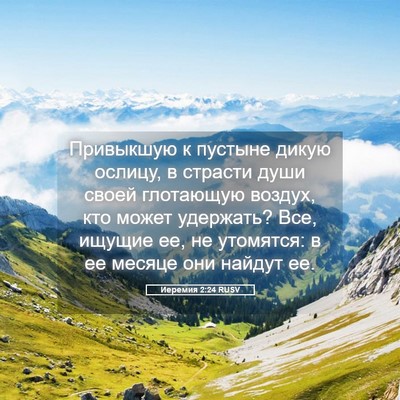 Picture 05 - Иеремия 2:24 RUSV - Привыкшую к пустыне дикую - Bible Verse Picture