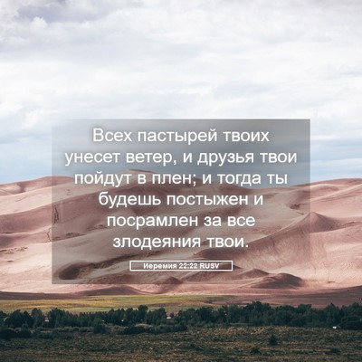 Picture 05 - Иеремия 22:22 RUSV - Всех пастырей твоих унесет - Bible Verse Picture