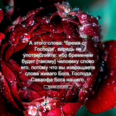 Picture 05 - Иеремия 23:36 RUSV - А этого слова: 'бремя от - Bible Verse Picture