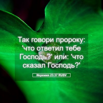 Picture 05 - Иеремия 23:37 RUSV - Так говори пророку: 'что - Bible Verse Picture