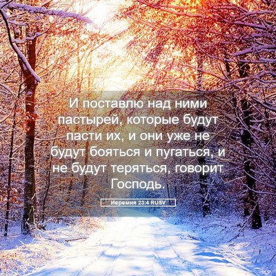 Picture 05 - Иеремия 23:4 RUSV - И поставлю над ними - Bible Verse Picture