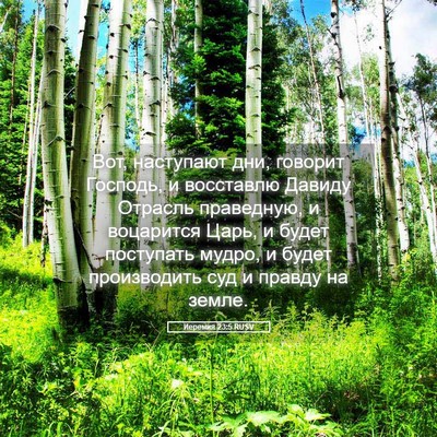 Picture 05 - Иеремия 23:5 RUSV - Вот, наступают дни, говорит - Bible Verse Picture
