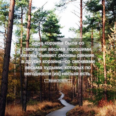 Picture 05 - Иеремия 24:2 RUSV - одна корзина была со - Bible Verse Picture