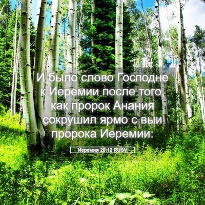 Picture 05 - Иеремия 28:12 RUSV - И было слово Господне к - Bible Verse Picture