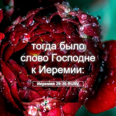 Picture 05 - Иеремия 29:30 RUSV - тогда было слово Господне - Bible Verse Picture