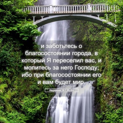 Picture 05 - Иеремия 29:7 RUSV - и заботьтесь о - Bible Verse Picture