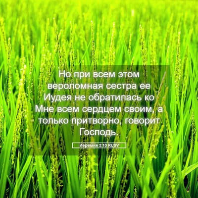 Picture 05 - Иеремия 3:10 RUSV - Но при всем этом - Bible Verse Picture
