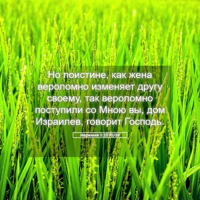 Picture 05 - Иеремия 3:20 RUSV - Но поистине, как жена - Bible Verse Picture