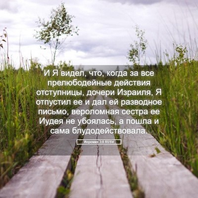 Picture 05 - Иеремия 3:8 RUSV - И Я видел, что, когда за все - Bible Verse Picture