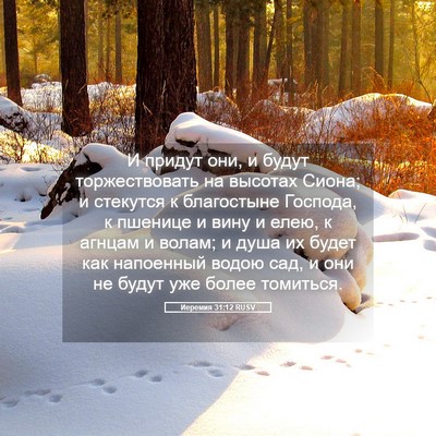 Picture 05 - Иеремия 31:12 RUSV - И придут они, и будут - Bible Verse Picture