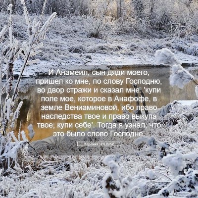 Picture 05 - Иеремия 32:8 RUSV - И Анамеил, сын дяди моего, - Bible Verse Picture