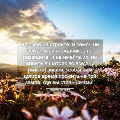 Picture 05 - Иеремия 35:7 RUSV - и домов не стройте, и семян - Bible Verse Picture