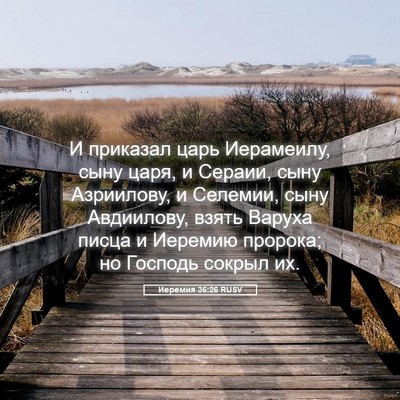 Picture 05 - Иеремия 36:26 RUSV - И приказал царь Иерамеилу, - Bible Verse Picture