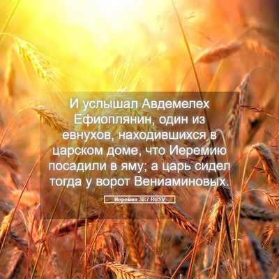 Picture 05 - Иеремия 38:7 RUSV - И услышал Авдемелех - Bible Verse Picture