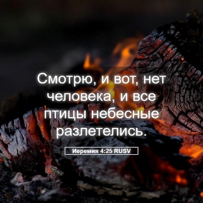 Picture 05 - Иеремия 4:25 RUSV - Смотрю, и вот, нет человека, - Bible Verse Picture