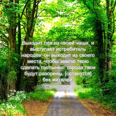 Picture 05 - Иеремия 4:7 RUSV - Выходит лев из своей чащи, - Bible Verse Picture