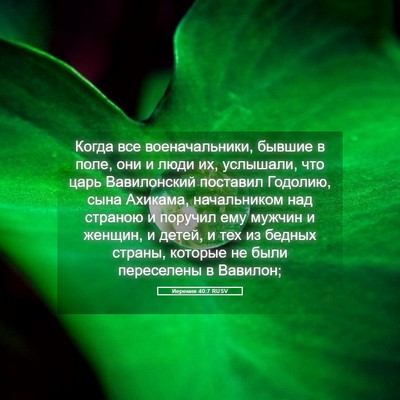 Picture 05 - Иеремия 40:7 RUSV - Когда все военачальники, - Bible Verse Picture