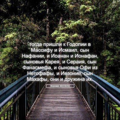 Picture 05 - Иеремия 40:8 RUSV - тогда пришли к Годолии в - Bible Verse Picture