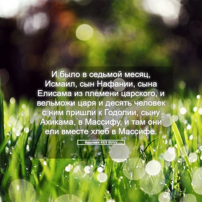 Picture 05 - Иеремия 41:1 RUSV - И было в седьмой месяц, - Bible Verse Picture
