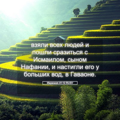 Picture 05 - Иеремия 41:12 RUSV - взяли всех людей и пошли - Bible Verse Picture