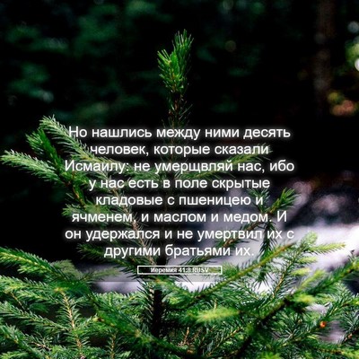 Picture 05 - Иеремия 41:8 RUSV - Но нашлись между ними - Bible Verse Picture
