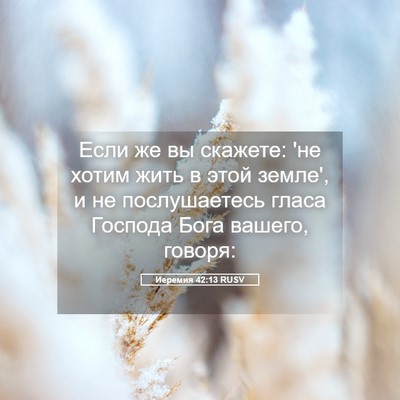 Picture 05 - Иеремия 42:13 RUSV - Если же вы скажете: 'не - Bible Verse Picture