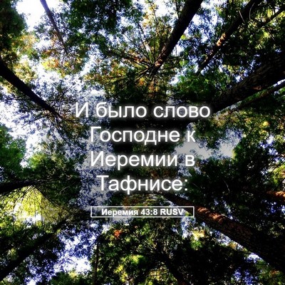 Picture 05 - Иеремия 43:8 RUSV - И было слово Господне к - Bible Verse Picture