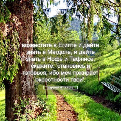 Picture 05 - Иеремия 46:14 RUSV - возвестите в Египте и - Bible Verse Picture
