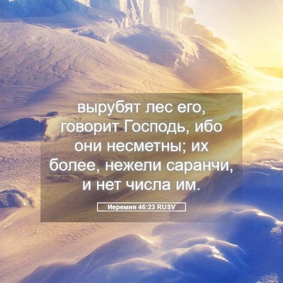 Picture 05 - Иеремия 46:23 RUSV - вырубят лес его, говорит - Bible Verse Picture