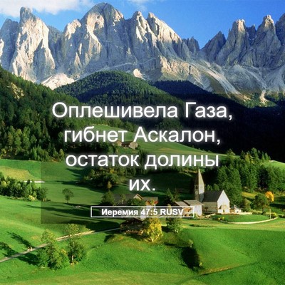 Picture 05 - Иеремия 47:5 RUSV - Оплешивела Газа, гибнет - Bible Verse Picture