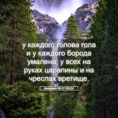 Picture 05 - Иеремия 48:37 RUSV - у каждого голова гола и у - Bible Verse Picture