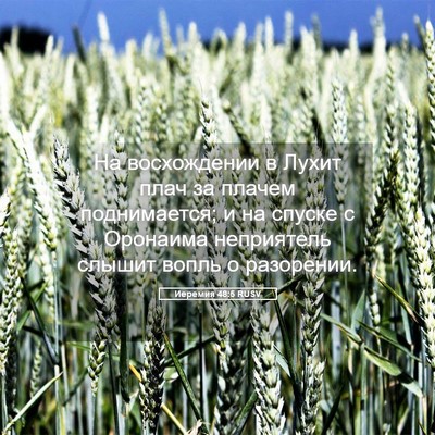 Picture 05 - Иеремия 48:5 RUSV - На восхождении в Лухит - Bible Verse Picture