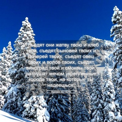 Picture 05 - Иеремия 5:17 RUSV - И съедят они жатву твою и - Bible Verse Picture