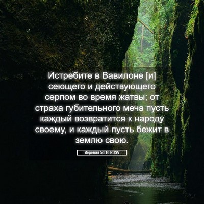Picture 05 - Иеремия 50:16 RUSV - Истребите в Вавилоне [и] - Bible Verse Picture