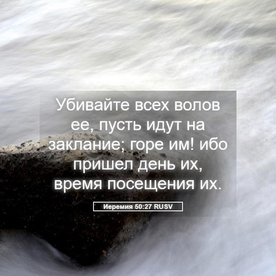 Picture 05 - Иеремия 50:27 RUSV - Убивайте всех волов ее, - Bible Verse Picture