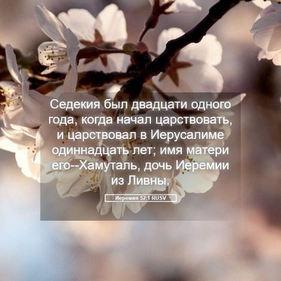 Picture 05 - Иеремия 52:1 RUSV - Седекия был двадцати - Bible Verse Picture