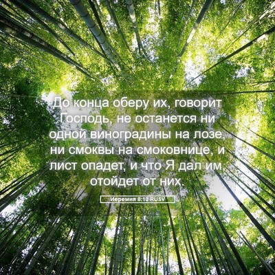 Picture 05 - Иеремия 8:13 RUSV - До конца оберу их, говорит - Bible Verse Picture