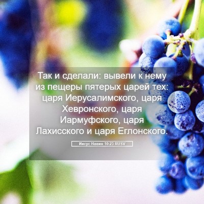Picture 05 - Иисус Навин 10:23 RUSV - Так и сделали: вывели к - Bible Verse Picture