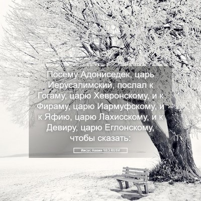 Picture 05 - Иисус Навин 10:3 RUSV - Посему Адониседек, царь - Bible Verse Picture