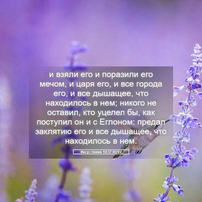 Picture 05 - Иисус Навин 10:37 RUSV - и взяли его и поразили его - Bible Verse Picture