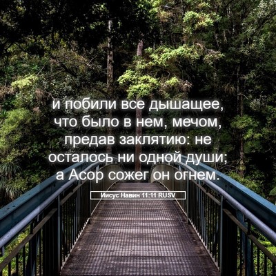 Picture 05 - Иисус Навин 11:11 RUSV - и побили все дышащее, что - Bible Verse Picture