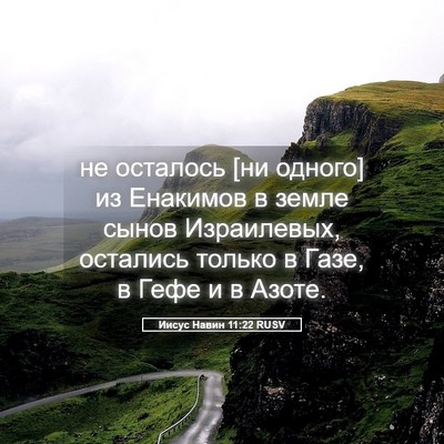 Picture 05 - Иисус Навин 11:22 RUSV - не осталось [ни одного] из - Bible Verse Picture