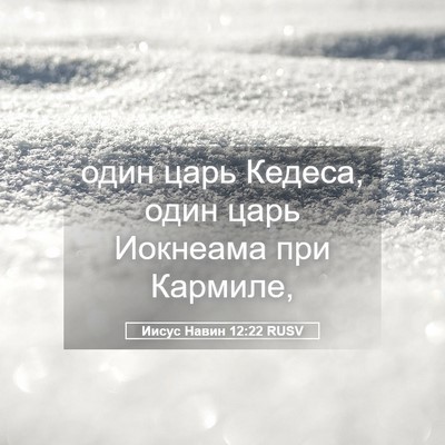 Picture 05 - Иисус Навин 12:22 RUSV - один царь Кедеса, один царь - Bible Verse Picture