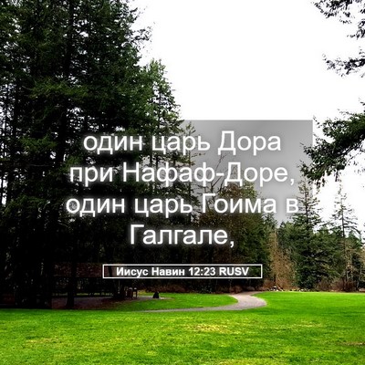Picture 05 - Иисус Навин 12:23 RUSV - один царь Дора при - Bible Verse Picture