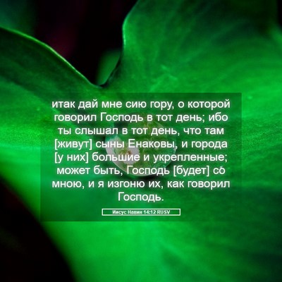 Picture 05 - Иисус Навин 14:12 RUSV - итак дай мне сию гору, о - Bible Verse Picture